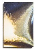 Echoes of nature [édition multilingue]